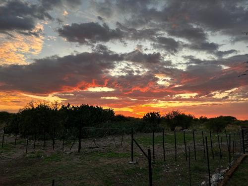 a sunset in a field with a fence at Ghanzi Farmhouse in Ghanzi