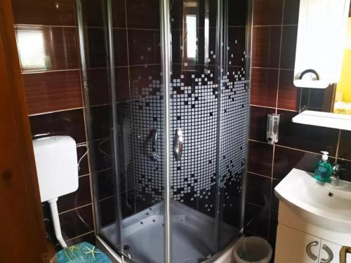 La salle de bains est pourvue d'une douche avec une porte en verre. dans l'établissement Apartmani Šćit, 