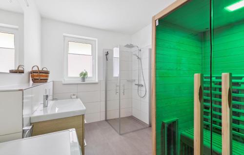 een badkamer met een groene muur en een douche bij Gebirgsresort Winterberg in Winterberg