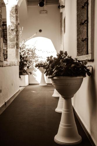 a hallway with three vases with plants in it at B&B Agorà in Bitetto