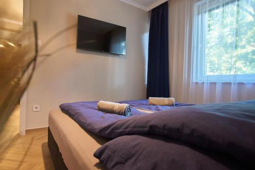 um quarto com duas camas e uma televisão na parede em Sunlight Blue Szeged - Exclusive em Szeged