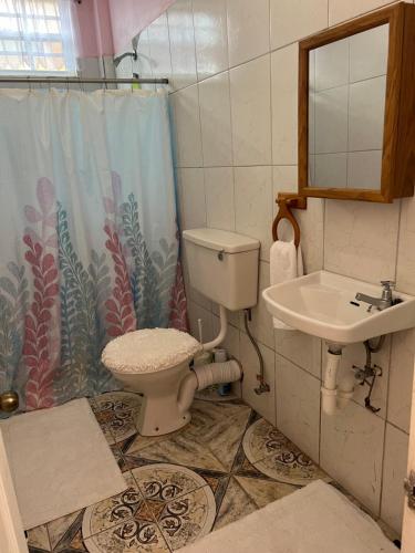 a bathroom with a toilet and a sink at Estuary Apartments 1 in Dunfermline