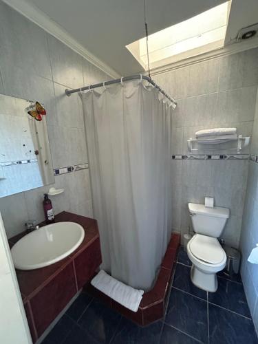 a bathroom with a sink and a toilet and a shower at Hotel Boutique & Spa Puerto Natura in Valparaíso