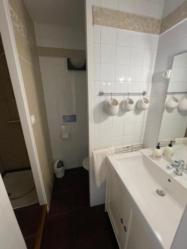 La salle de bains blanche est pourvue d'un lavabo et de toilettes. dans l'établissement VILLA DE CAMPAGNE LES MURAILLES, à Auterive