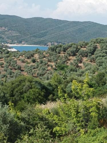 Gallery image of Art Hotel Panorama in Pyrgadikia