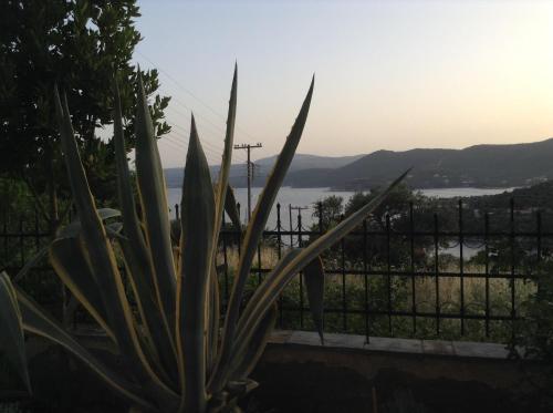 Gallery image of Art Hotel Panorama in Pyrgadikia