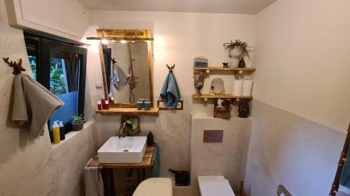 a bathroom with a sink and a toilet and a mirror at Boutique Apartments Benz I-III in Bergisch Gladbach