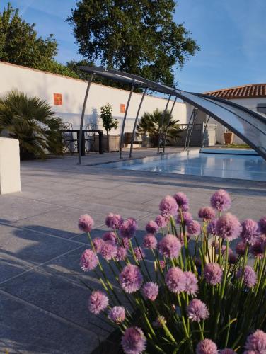 Une bande de fleurs roses devant un bâtiment dans l'établissement Claire & Co Chambre d'hôtes, à Pornic