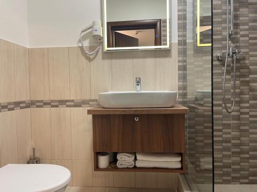 a bathroom with a sink and a shower at Pensiune Premier in Doctor Petru Groza