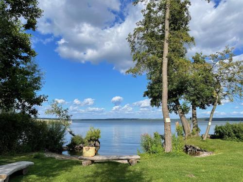a park bench next to a body of water at PerlePlau in Plau am See