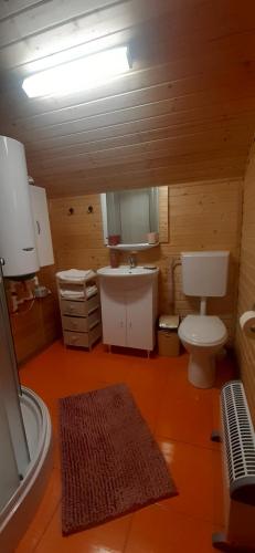 a bathroom with a toilet and a sink at Luna de miere in Cinciş