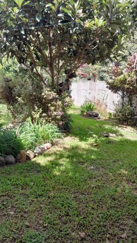 Κήπος έξω από το Casa e camping Julia recanto das árvores