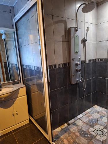 uma casa de banho com um chuveiro e um lavatório. em Chez Guy et Josiane em Cilaos