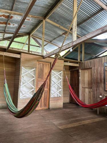 a room with two hammocks hanging in a building at Hostal Dasilva en San Martín de amacayacu in San Martín