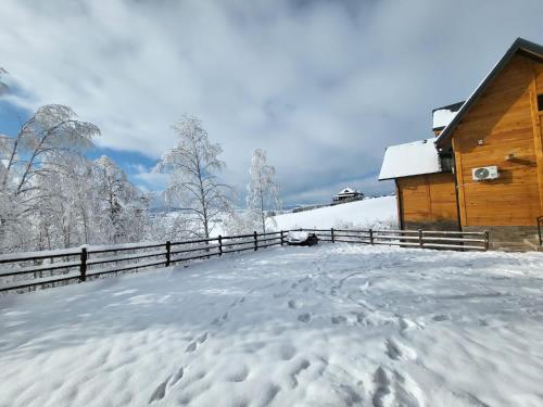 a snow covered yard in front of a cabin at LUX PINE house in Zlatibor