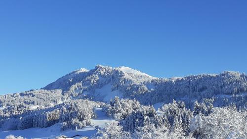 a mountain covered in snow with trees in the foreground at Ferienwohnung mit Dampfbad in Wertach