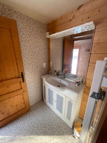 une salle de bain avec un lavabo et un miroir dans l'établissement Les Cachettes du Hérisson - Le Choupisson, à Le Frasnois