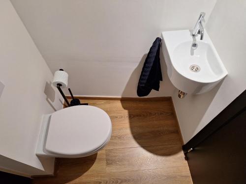 een badkamer met een wit toilet en een wastafel bij Huis ALNA 4 in Mechelen