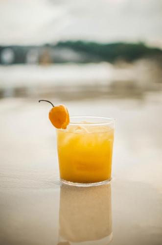 a glass of orange juice sitting on a table at Casa Gitano in Tulum