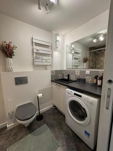 a bathroom with a washing machine and a toilet at "Le petit bonlieu" au centre ville et à 500m du lac in Annecy