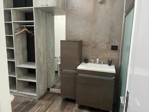 een badkamer met een wastafel en een spiegel bij Hospedo 1 in Ushuaia