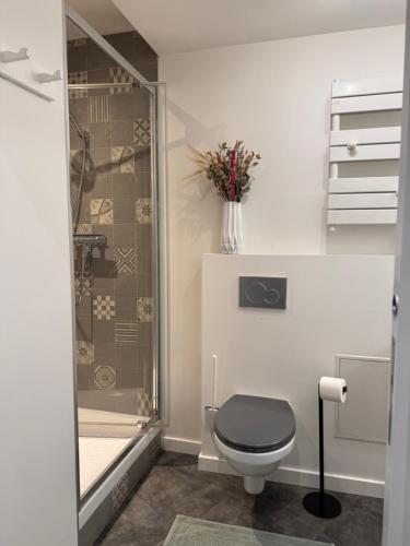 a bathroom with a toilet and a glass shower at "Le petit bonlieu" au centre ville et à 300 m du lac in Annecy