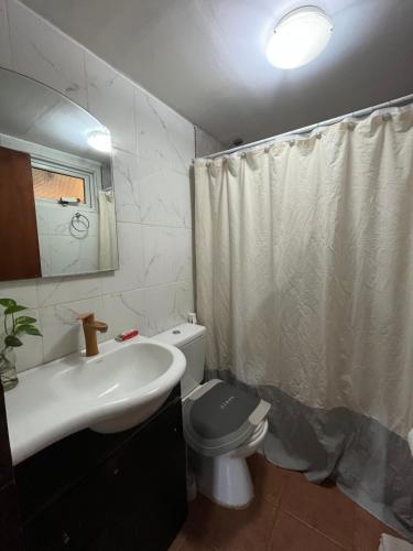a bathroom with a sink and a toilet and a shower curtain at Trono de Nubes in Trevelin