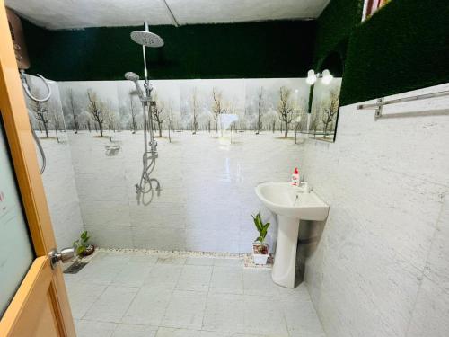 a bathroom with a shower and a sink at Ella Black Bridge View Cottage Sri Lanka in Ella