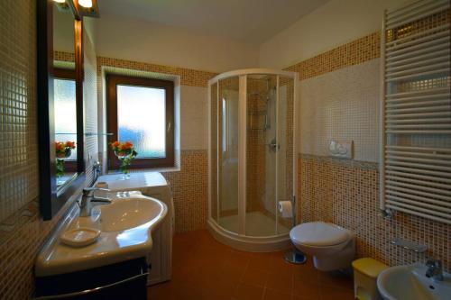 a bathroom with a sink and a shower and a toilet at Casa Dolores in Padola