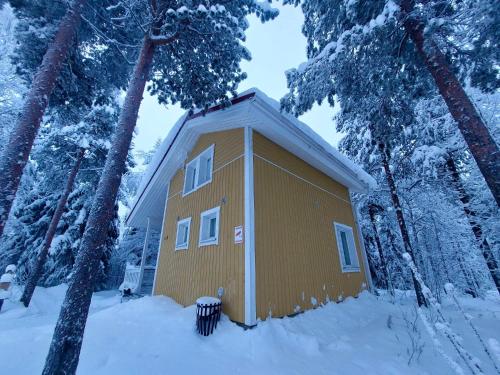 Un petit bâtiment jaune dans les bois dans la neige dans l'établissement Lapland Forest Lodge, à Rovaniemi