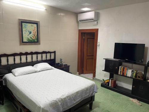 a bedroom with a bed and a flat screen tv at Hostal Casa Cucu - Wifi, Hot Water, AC, free water refill - Stay 3 nights or more and get 1 day free bikes & 1 free laundry wash in Valladolid