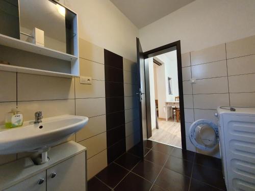 a bathroom with a sink and a toilet at UBYTOVANIE NITRA – Lužianky Privát Iveta in Šarlužky-Kajsa