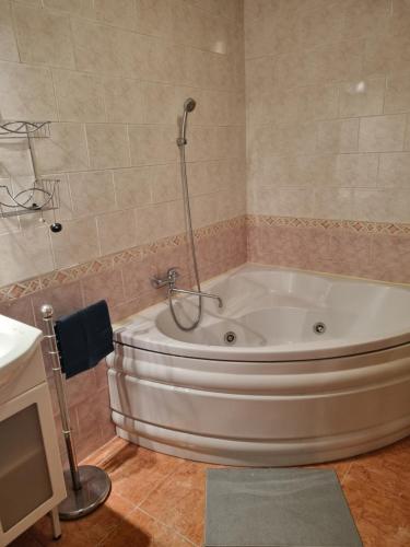 a bath tub with a shower in a bathroom at Studánka in Orlová