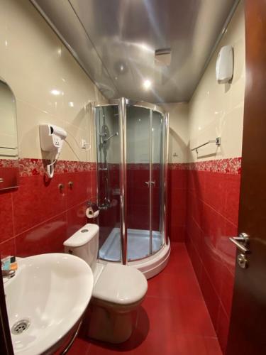 y baño con ducha, aseo y lavamanos. en Hotel Ananuri en Ananuri
