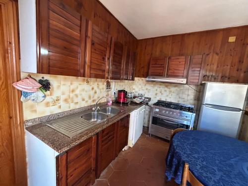 a kitchen with wooden cabinets and a sink and a refrigerator at Casa Belvedere a Valle San Martino di Spoleto in Spoleto