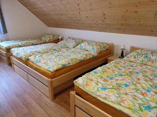 Fotografie z fotogalerie ubytování Ubytování Niki v Rokytnici nad Jizerou