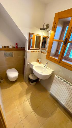 a bathroom with a sink and a toilet at Chalupa pod lipou in Zázrivá