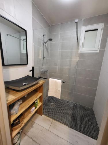 a bathroom with a shower with a mirror and a sink at L'eau douce in Gasques