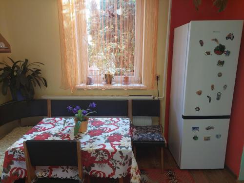 a kitchen with a table and a refrigerator and a window at Ubytovanie u Katky in Bobrovec