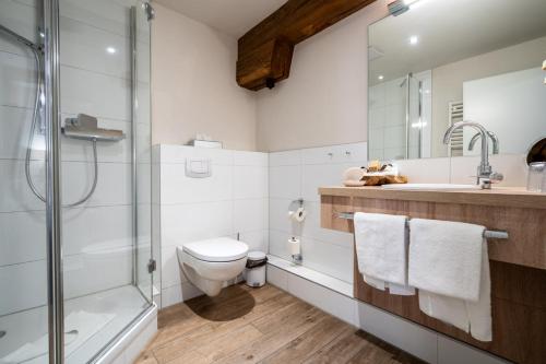 a bathroom with a shower and a toilet and a sink at Hotel Alter Kornspeicher in Neustrelitz