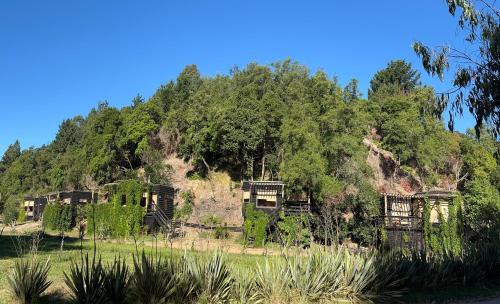 un vecchio edificio su una collina con alberi di Reserva los Bollenes a Constitución