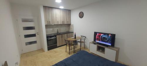Kuchyň nebo kuchyňský kout v ubytování Studio apartman " 3M "