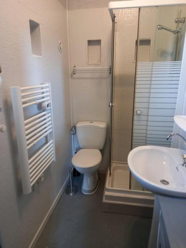 ein Bad mit einem WC, einer Dusche und einem Waschbecken in der Unterkunft La Méridienne - Gite Ceusette in Venterol
