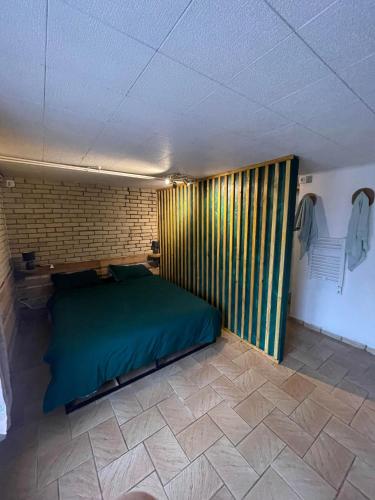 a bedroom with a green bed in a room at Le Ranch - proche centre ville in Reims