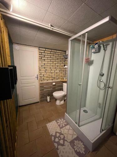 a bathroom with a glass shower and a toilet at Le Ranch - proche centre ville in Reims