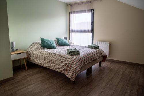 ein Schlafzimmer mit einem Bett mit blauen Kissen und einem Fenster in der Unterkunft Maison meublée Divonne-les-Bains in Divonne-les-Bains