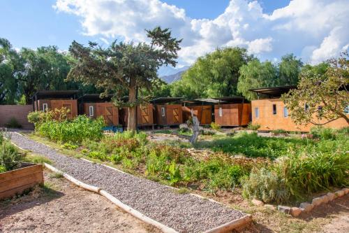 Jardin de l'établissement Glamping El Obrador Tilcara