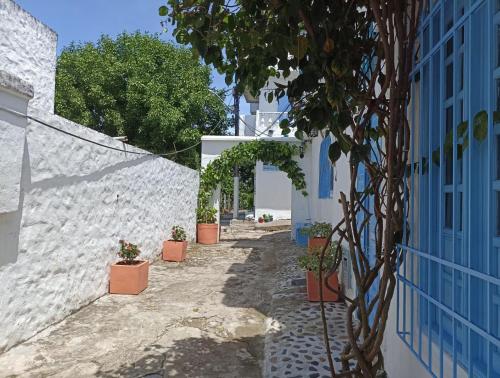 a narrow alley with potted plants and a building at El santorini colombiano cabaña in Puerto Triunfo