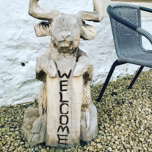 a statue of a cow with horns and a chair at Crofthead Farm House in Tarbolton