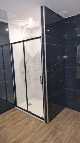 une douche avec une porte vitrée dans une salle de bain dans l'établissement Spa des ducs loft 1, à Bar-le-Duc